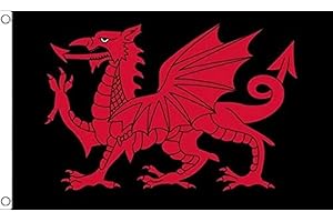 AZ FLAG - Bandera Gales Dragon Negro - 90x60 cm - Bandera Galesa 100% Poliéster Con Ojales de Metal integrados - 50g - Colores Vivos Y Resistente A La Decoloración