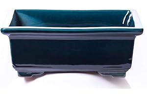 Alfareros Damian Canovas Maceta para Bonsai DE Barro Y ESMALTADA EN Color Azul RABEL. Medidas 28X22X10CM.Modelo Kobe. con TU Compra TE REGALAMOS EL Plato.