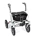 Produktbild Trionic Walker 12er Rad schwarz/schwarz/grau