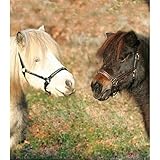 Waldhausen STAR Lederhalfter Diamond