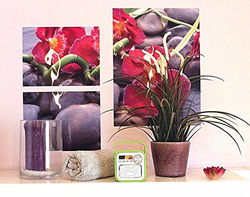 Mini-Haut-Parleur-Bluetooth-avec-Radio-FM-VertAUX-Bluetooth-USB-Connexion-Tlcommande-Horloge-Radio-de-Cuisine-Radio-de-Salle-de-Bain-pour-Enfant-Portable-avec-poigne-5-W