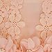 iiniim Baby Girls Flower Straps Mesh Party Wedding Christening Princess Dress Sundress Coral Pink 6-9 Months