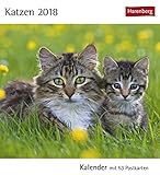 Katzen - Kalender 2018: Kalender mit 53 Postkarten by 