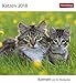 Katzen - Kalender 2018: Kalender mit 53 Postkarten by 