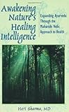 Image de Awakening Nature's Healing Intelligence: Expanding Ayurveda Through The Maharisi Vedic Approach to Health: Expanding Ayurveda Through the Maharishi Ve