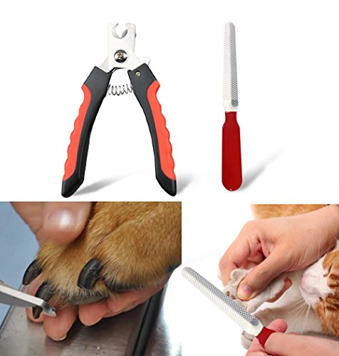Ceesc-Coupe-griffes-pour-chiens-et-chats-Sharp-tondeuse--ongles-avec-lime--ongles-Ensemble-Rouge-Essential-Kit-de-toilettage
