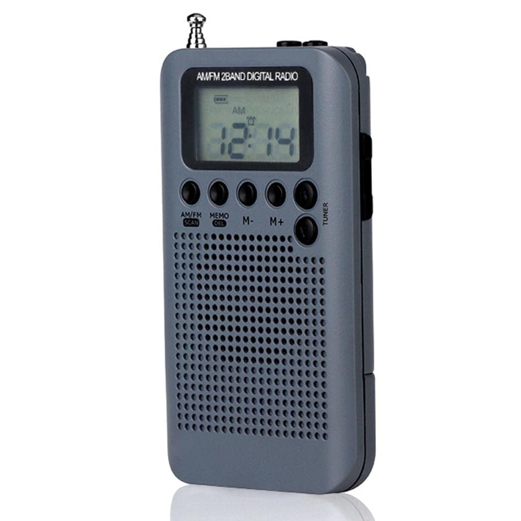 Generic Gray 2-Band Portable AM/FM Digital Radio with Earphone and USB Cable