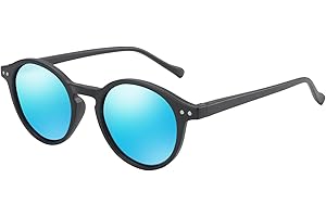 ZENOTTIC Lunettes de Soleil Polarisées pour Hommes et Femmes : Classiques Rétro Rondes Unisexes - Protection UV400 Cat.3