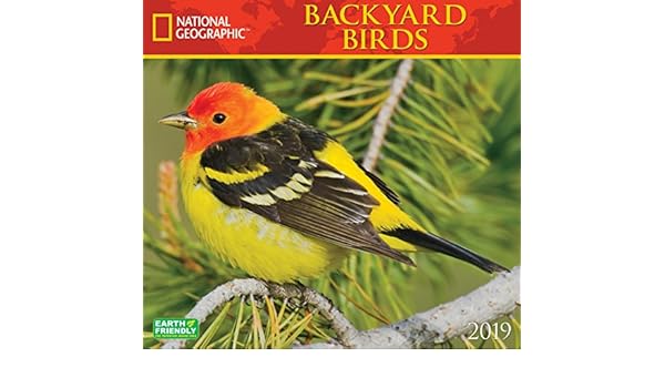Buy National Geographic Backyard Birds 2019 Calendar Book Online