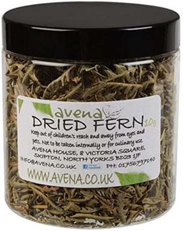 Fern Leaves With Pine Fragrance (10g): Christmas decorations accessorise gift filling pot pourri