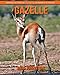 Produktbild Gazelle: Amazing Pictures & Fun Facts on Animals in Nature
