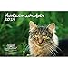 Produktbild Katzenzauber · DIN A4 · Premium Kalender 2019 · Katzen · Haustier · Stubentiger · Katzenbaby · Tier · Edition Seelenzauber