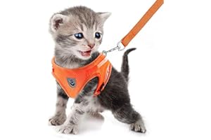 FEimaX Imbracatura e Guinzagli Set per Cani, Pettorina Imbottita a Morbida per Cuccioli e Gatti, Imbracature di Traspiranti Regolabili Riflettenti per Camminare, Corsa, Allenamento