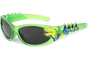 Hifot Lunettes de Soleil Enfant Garçon Fille, Dinosaure Lunette Soleil Enfant 3 Ans à 10 Ans, avec Protection UV400, Convient pour Sport Cyclisme Plage Extérieur Anniversaires
