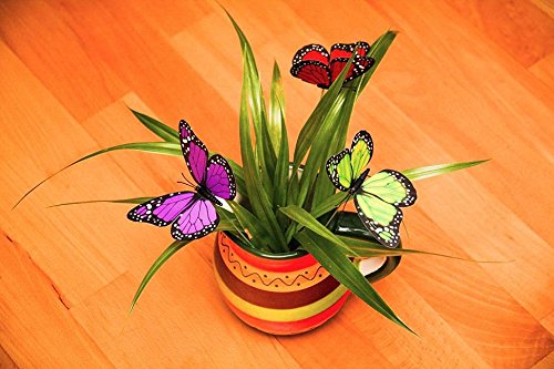 G2PLUS 18 Stk Schmetterling Gartenstecker 25CM Schmetterling Dekostecker als Deko für Garten oder Blumentopf - 5