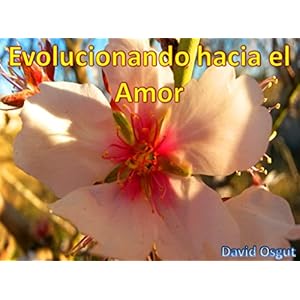 Evolucionando hacia el Amor