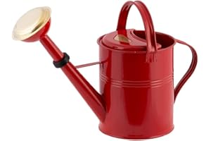 PLINT 5L Watering Can - Modern Style Watering Pot for Indoor and Outdoor House Plants - Coloured Galvanised Powder Coated Steel - Metal Design With Narrow Spout And High Handle - (Red)