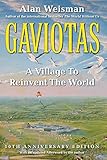 Gaviotas: A Village to Reinvent the World by 