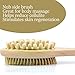 Bath Blossom Natural Bristle Body Brush - Exfoliating Scrub Brush - Effective For Wet And Dry Body Brushing - Long Handled -Suitable For Men And Women