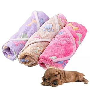 Alfombrilla tipo manta Zhuotop, impermeable, resistente a las manchas, para mascotas, con patrón de huellas