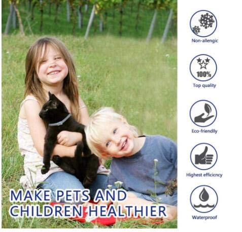 Zwini-Collier-Anti-puces-et-Anti-tiques-pour-Collier-Anti-puces-pour-Chat-Naturel-avec-Protection-de-Chat-de-8-Mois