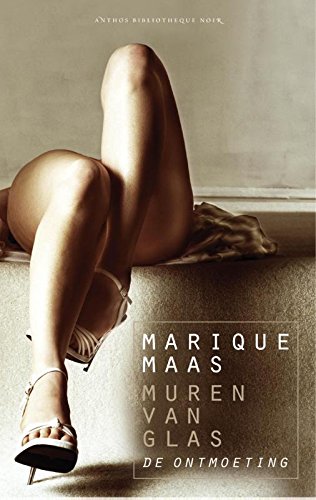 Ebook De ontmoeting (Muren van glas)