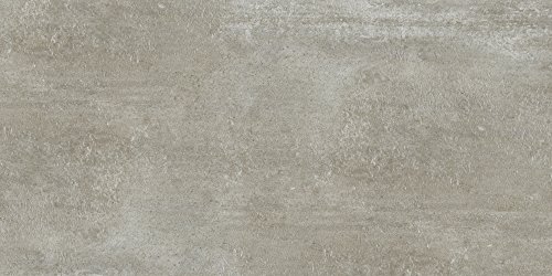 Preisvergleich Produktbild fliesenmax Steinzeug Bodenfliese Fossil Curio grau 34.8x69.8cm Steinoptik