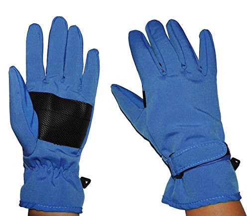 Preisvergleich Produktbild Fingerhandschuhe Softshell - azur blau - Thermo gefüttert mit Fleece - dünner Thermohandschuh - Größe: Erwachsene 6 - wasserdicht + atmungsaktiv Soft Shell - Fingerhandschuh für Kinder / Erwachsene / Damen / Herren - Jungen Mädchen - dünner Thermohandschuhe Handschuhe