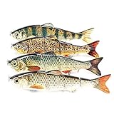 PushingBest Wobbler, Kunstköder Setzt Jerkbait mit 2 Drillingen Haken Fischköder für Zander Forelle