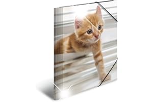 ‎HERMA HERMA 19328 Sammelmappe A4 Tiere Katzen, Kinder Eckspanner-Mappe aus Kunststoff mit Hochglanz-Optik, Innendruck & Gummizug, stabile Einschlagmappe aus Plastik für Jungen & Mädchen