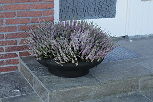 Feuerschale 60cm 3mm Wandung Feuerstelle Gartenfeuer Lagerfeuer Grillschale Pflanzschale - 4