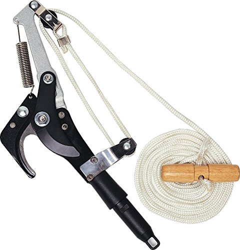 Darlac DP563 Swop Top Standard Tree Pruner Darlac DP563 Swop Top Standard Tree Pruner