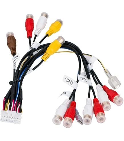 Cavo RCA A 20 Pin Per Autoradio - Prolunga Ingresso/Uscita Stereo Con Microfono Esterno