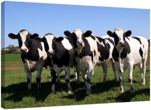 Canvas Picture Marching Cows - stretched and mounted around an 18 x 12 inch (46cm x 30cm) wooden frame by Pixel Zone