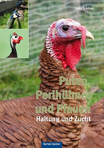 Download Puten, Perlhühner und Pfauen: Haltung und Zucht