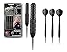 Produktbild 22 g Phil Taylor Power Storm schwarz Messing Dart Set, Target Stiele und Flights