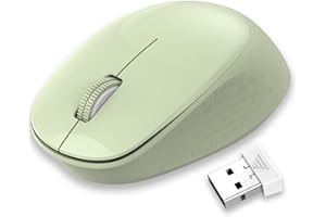 LeadsaiL Mouse Wireless, Silenzioso Mouse Senza Fili per PC Portatile, Ergonomico 2,4 GHz USB Mouse, 1600 DPI, Compatto, Smooth Tracking per Chromebook, Mac, Computer, Notebook - Verde