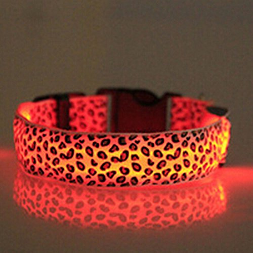 Preisvergleich Produktbild Evtech (tm) Leopard-Druck Nachtsicherheit führen Collar Hundekatze-Haustier Halsband verstellbar mit grellem Licht-up orange - S