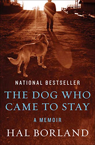 The Dog Who Came to Stay: A Memoir (English Edition) livre