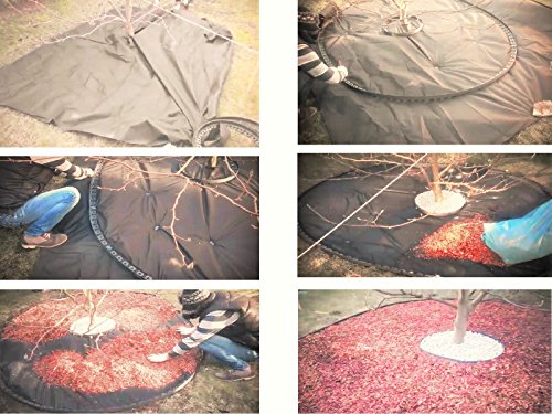 10 Meter – flexible Kunststoff   Rasenkanten   mit 60 Securing   Anker gratis – Flexible Garteneinfassung , Flexible Rasenkanten ,   Kunststoff-Garteneinfassung ,   Flexible Garten Rasen,   Garten-Ideen,   Garten Entwurf. (10, Schwarz) - 3