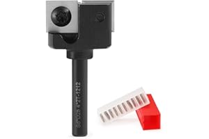 HOZLY Fresa plana de 6 mm con 10 cuchillas de metal duro intercambiables (12 x 12 x 1,5 mm), 2 flautas, fresadora CNC de 25,4 mm de diámetro, fresadora de superficie