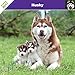 KALENDER HUSKY 2017 - AFFIXE by 