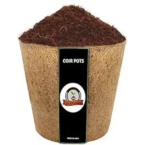 JM Traders Coir Pots, Coco Pots with Cocopeat Basket, Pots for Gardening Plants and Flowers, 6-Inch