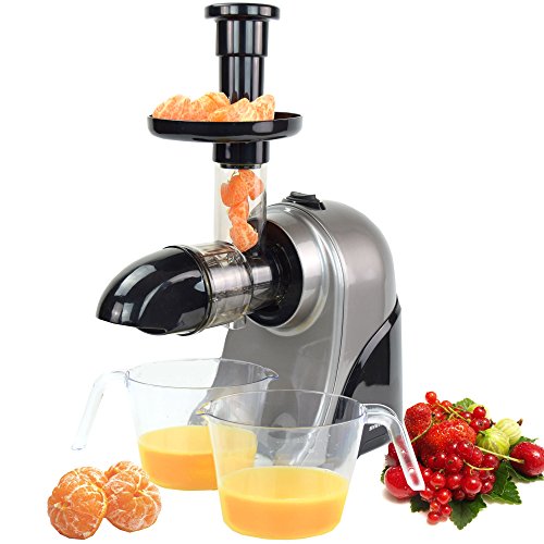 Syntrox Germany SJ-150W-DC Langsam Entsafter Saftpresse mit nur 75 U/min Slow Juicer - 2