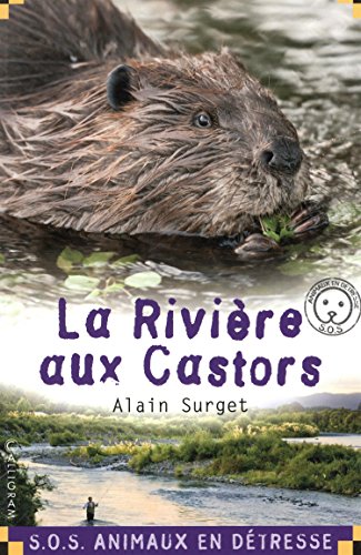 La  rivière aux castors