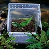 Generic Transparent Wasserreptil Zuchtbox Insektenbox für...