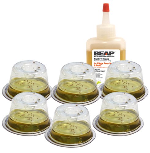 Beapco 10036 Toiletry Bag Drop-Ins Fruit Fly Trap, Pack of 6