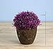 Kunstblumen Der Blumentopf - Wohn - Und Schlafzimmer Schreibtisch Christbaumschmuck, Künstliche Blumen,- 038