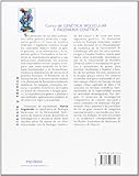 Image de Curso De Genética Molecular E Ingeniería Genética (Ciencia Y Técnica)