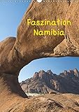  Faszination Namibia (Wandkalender 2019 DIN A3 hoch): Ein Querschnitt durch ein fantastisches Land. (Monatskalender, 14 Seiten ) (CALVENDO Orte)